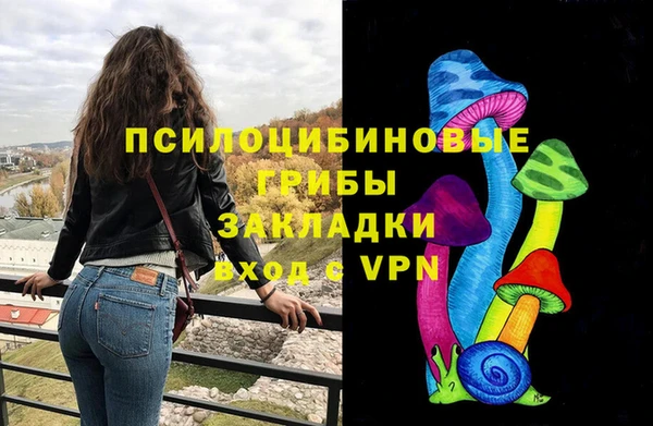 ПСИЛОЦИБИНОВЫЕ ГРИБЫ Верхнеуральск