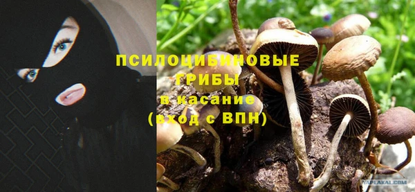 a pvp Верея