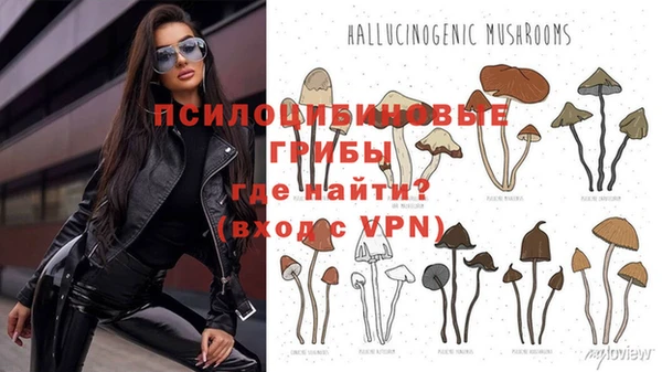 не бодяженный Верхний Тагил
