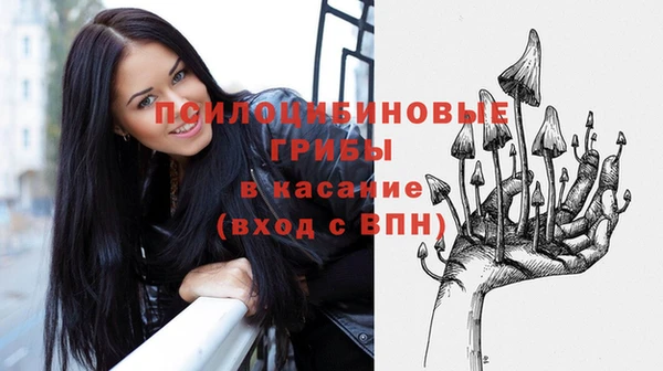 не бодяженный Верхний Тагил