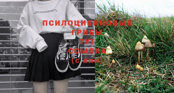 ПСИЛОЦИБИНОВЫЕ ГРИБЫ Верхнеуральск